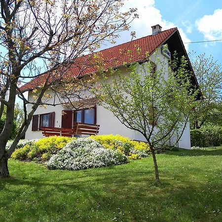 Guest House Kolic Drežnik Grad Exterior foto
