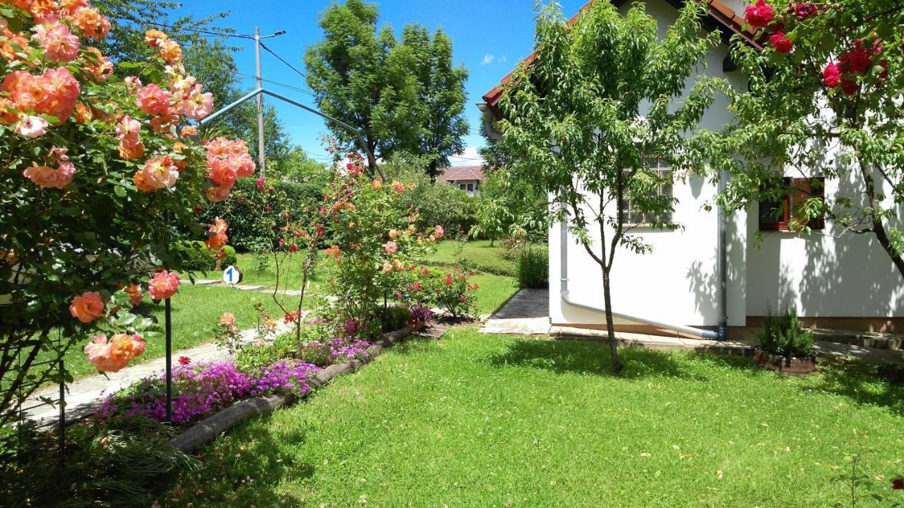 Guest House Kolic Drežnik Grad Exterior foto
